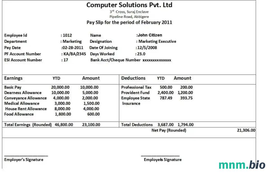 COMPUTER solutions Pvt. Ltd w formatach Word i PDF